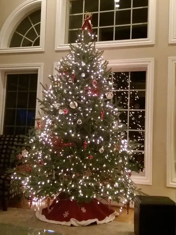A Nieman's Fraser fir decorated with lights in a family home