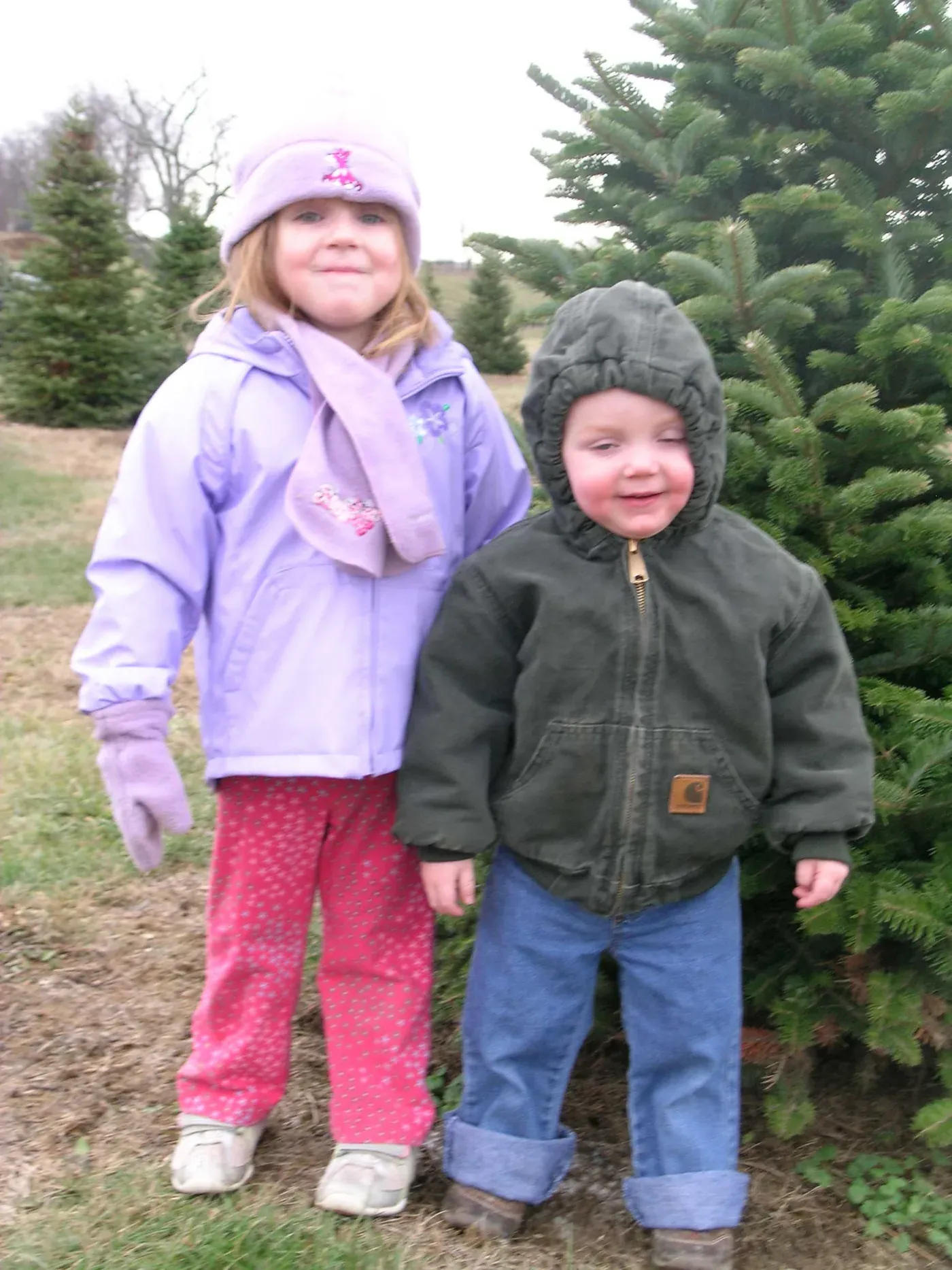 Family tradition at the farm