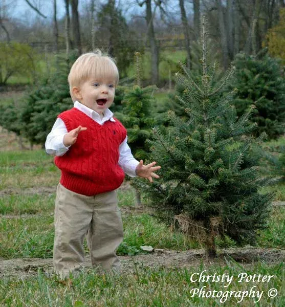A little helper choosing a tree