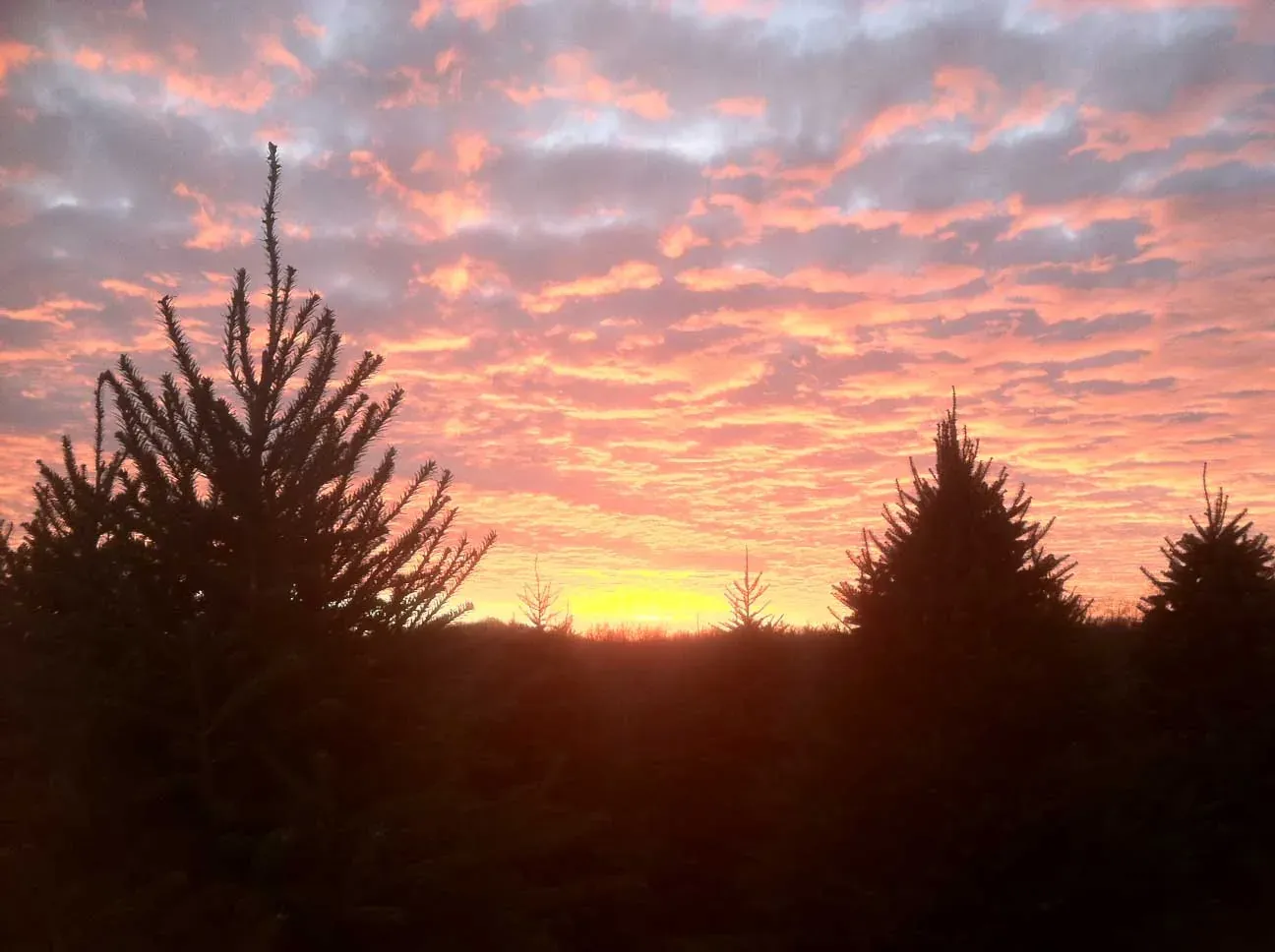 Sunset over the farm